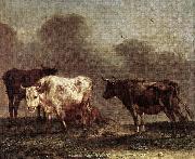 POTTER, Paulus Cows in a Meadow af Spain oil painting artist